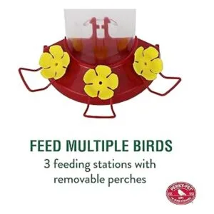 PerkyPet alimentador de colibrí con montaje en la pared 8_6