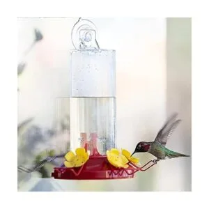 PerkyPet alimentador de colibrí con montaje en la pared 8_3