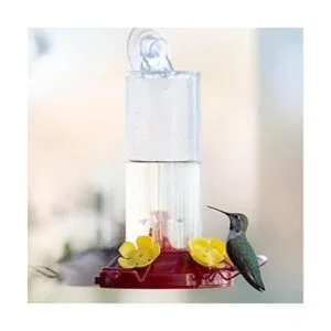 PerkyPet alimentador de colibrí con montaje en la pared 8_2