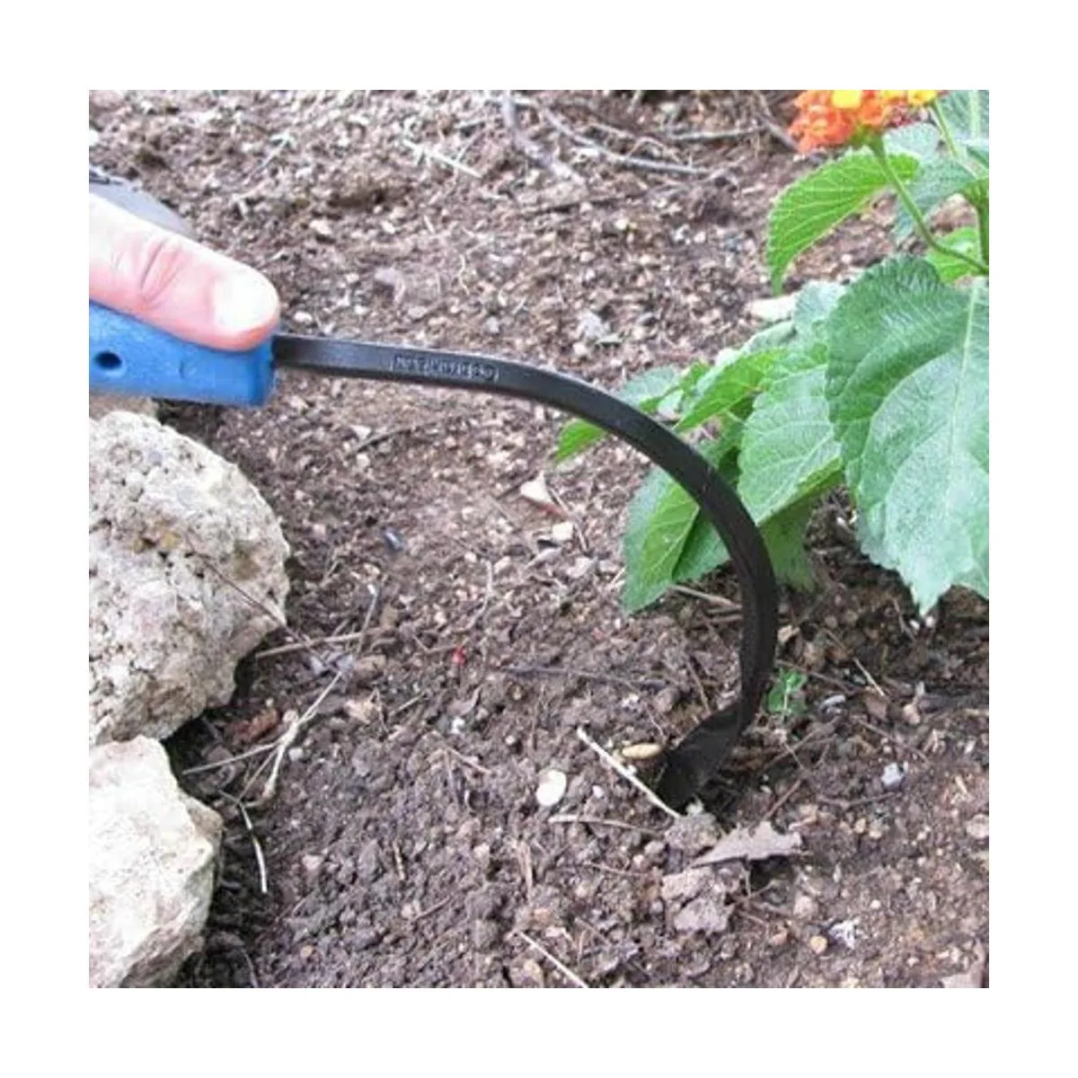 CobraHead. Herramienta de mano escardillo y cultivador._6