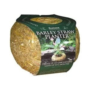 Summit 1139 Maceta de paja de cebada de agua_1