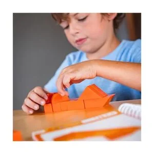 Foxmind Juegos Arquitecto Spatial Logic and Destreity_2