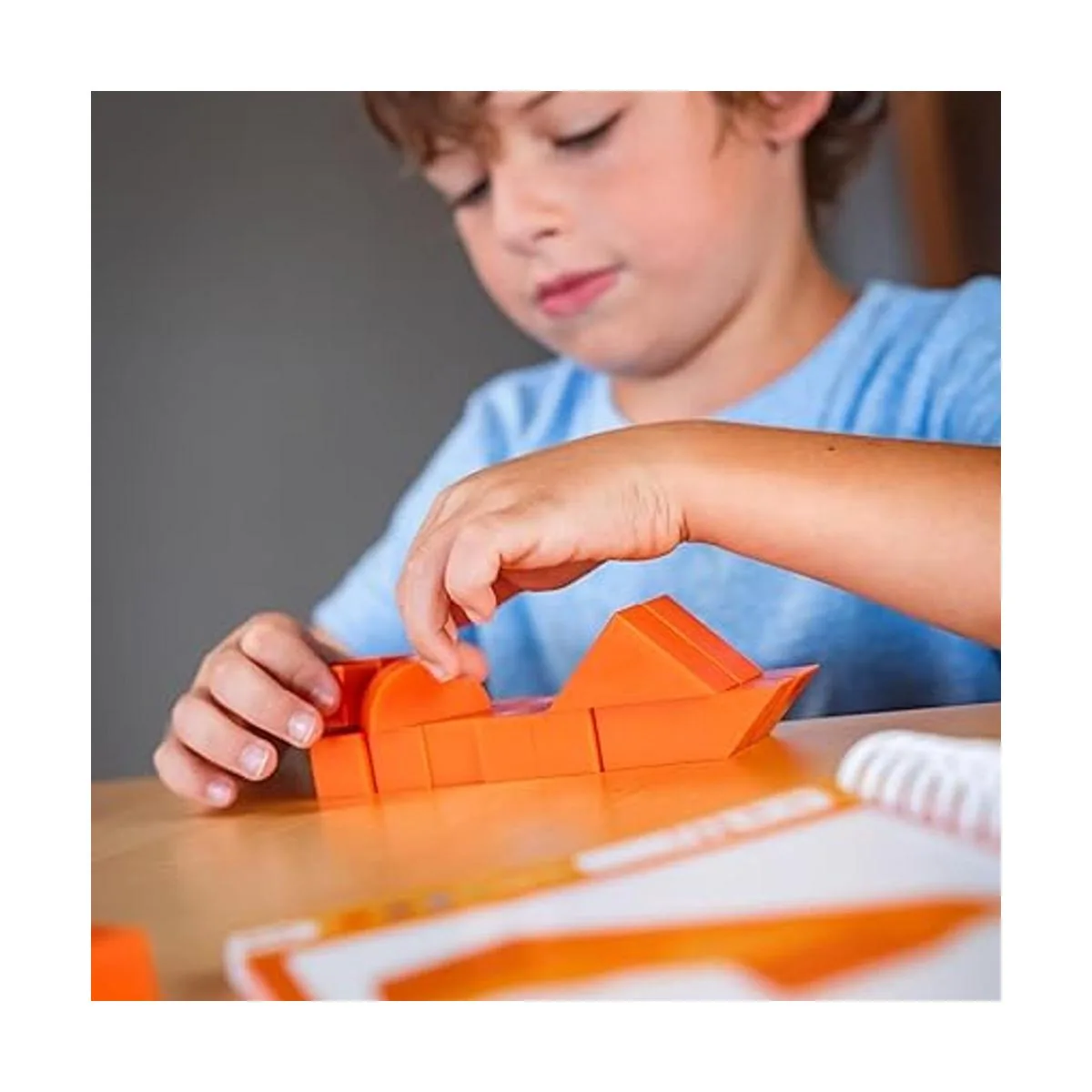 Foxmind Juegos Arquitecto Spatial Logic and Destreity_2