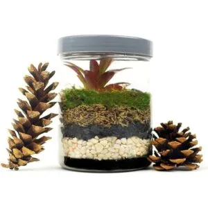 Mosser Lee ML1122 Cubierta para suelo de piedra perlada