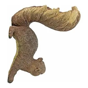 Design Toscano NG34034 Simone The Ardilla Woodland Decor_4