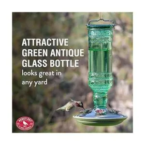 Alimentador para colibrí Avant Garden en vidrio verde_4