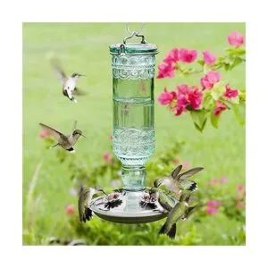 Alimentador para colibrí Avant Garden en vidrio verde_2