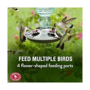 Alimentador para colibrí Avant Garden en vidrio verde_3