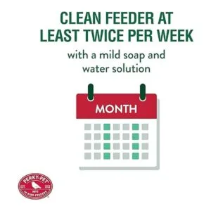 Alimentador para colibrí Avant Garden en vidrio verde_6