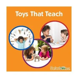 Safari Ltd Figuritas de Hada de Fantasía TOOB incluye 6_6