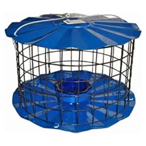 Erva Comedero Bluebird Incluye taza de gusano de