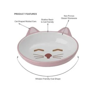 PetRageous Cuenco ovalado para gatos de gres de 5.5_4