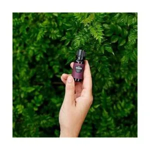 Aceite esencial puro de rosa geranio de calidad_3