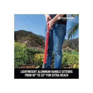 Mango extensible Corona GT_2