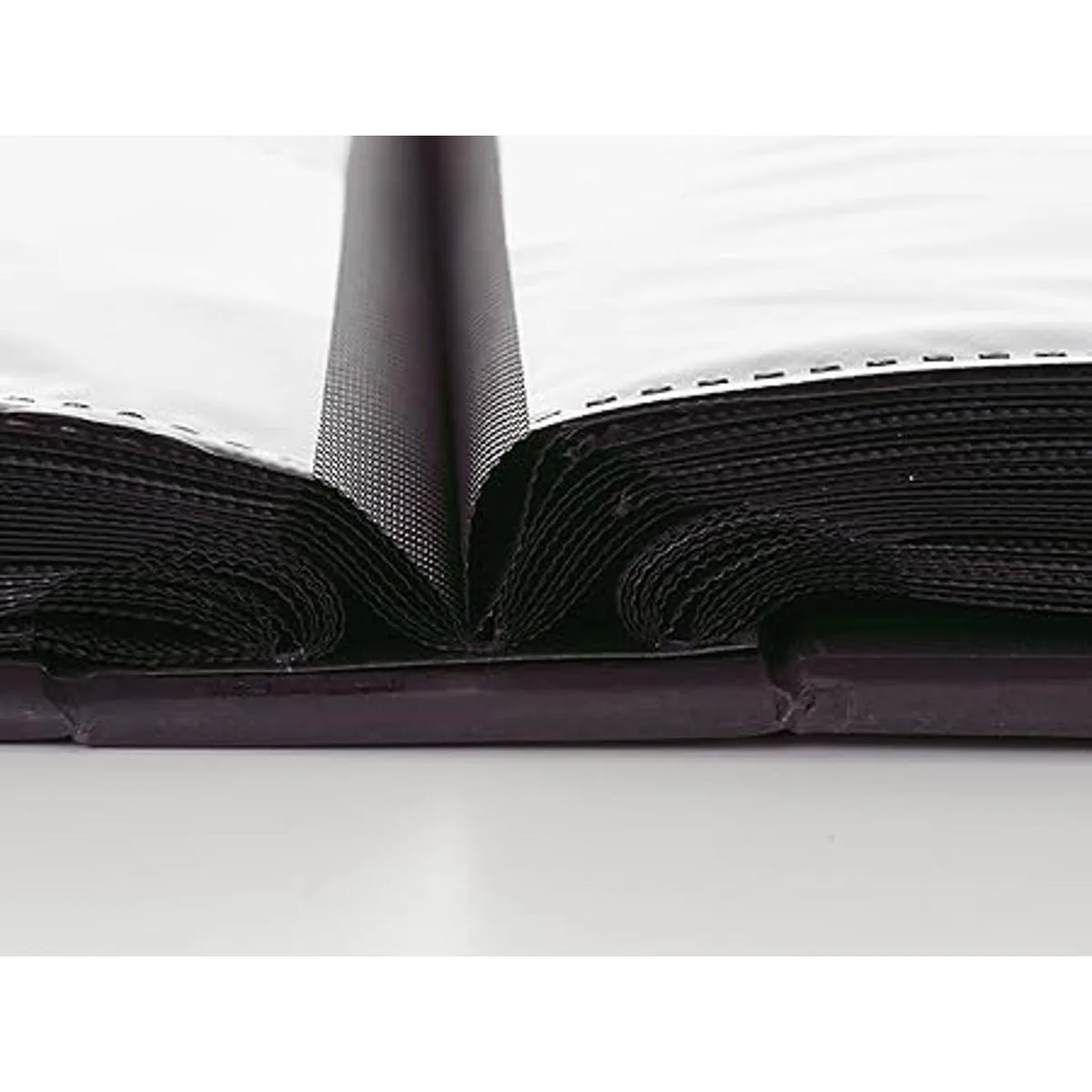 Kiera Grace lbum de fotos se sostiene