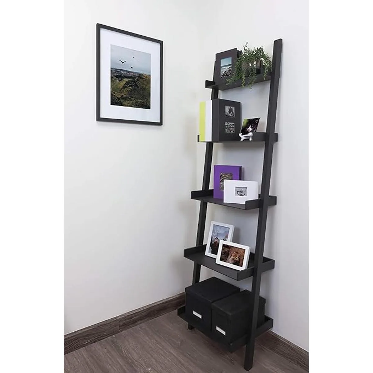 Kiera Grace lbum de fotos se sostiene