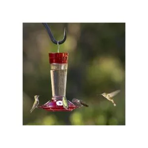 More Birds Comedero de colibrí con diseño de rubí Rubí_6