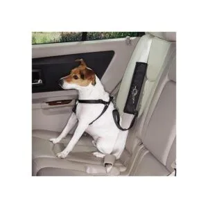Guardian Gear Ride Derecho Seat Belt Conector_3