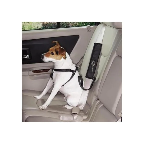 Guardian Gear Ride Derecho Seat Belt Conector_3