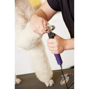 Andis EasyClip Molinillo de uñas 2 velocidades_2