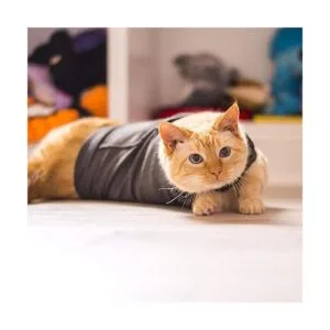 Thundershirt Classic Cat Anxiety Jacket Vet Recommended_4