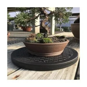 Mighty Mini Bonsai Rodamientos de bolas de acero_5