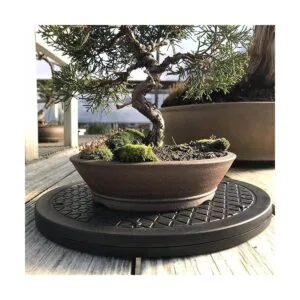 Mighty Mini Bonsai Rodamientos de bolas de acero_4