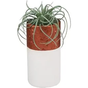 Pack de arcilla de colores surtidos para modelar 24Pack_5