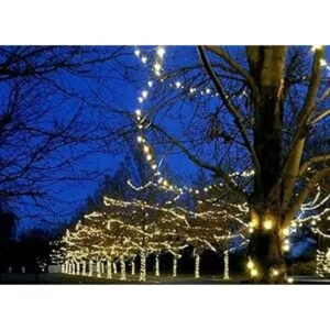 Novedad 50 luz LED Twinkle Luces de Navidad LED mini juego_5