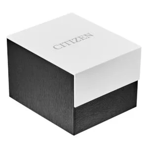 Citizen EcoDrive Corso Mens Watch Stainless Steel Classic_5