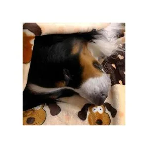 Manta para mascotas SmartPetLove Snuggle Marrón