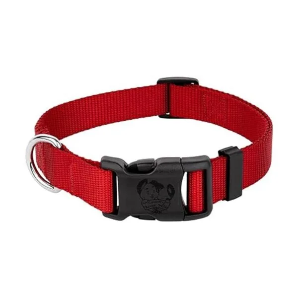 Country Brook Design Collar de nailon de lujo para perro