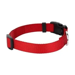 Country Brook Design Collar de nailon de lujo para perro