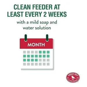 PerkyPet 1 tarro Mason Wild Bird Waterer 783 azul