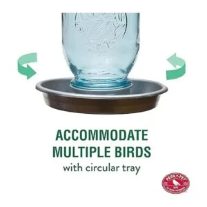 PerkyPet 1 tarro Mason Wild Bird Waterer 783 azul