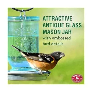 PerkyPet 1 tarro Mason Wild Bird Waterer 783 azul