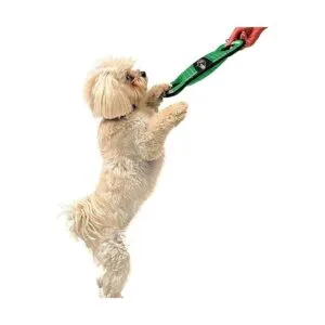 Pets First Baltimore Ravens Football Field Tug Toy_5