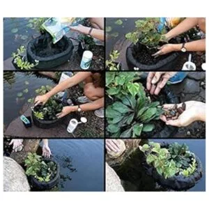 Aquascape Maceta flotante de isla para estanques jardines_4