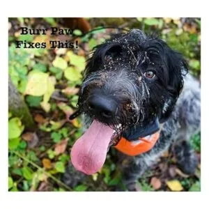BurrPaw Herramienta de eliminación de rebabas para perros_5