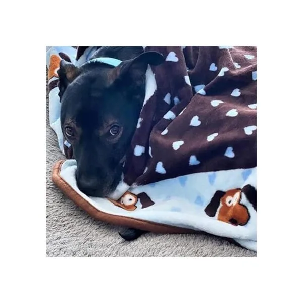 Manta para mascotas SmartPetLove Snuggle