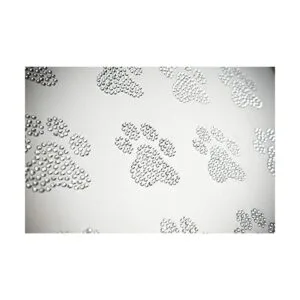 Conjunto de 8 Paws Clear Rhinestone Hierro Sobre Paws de