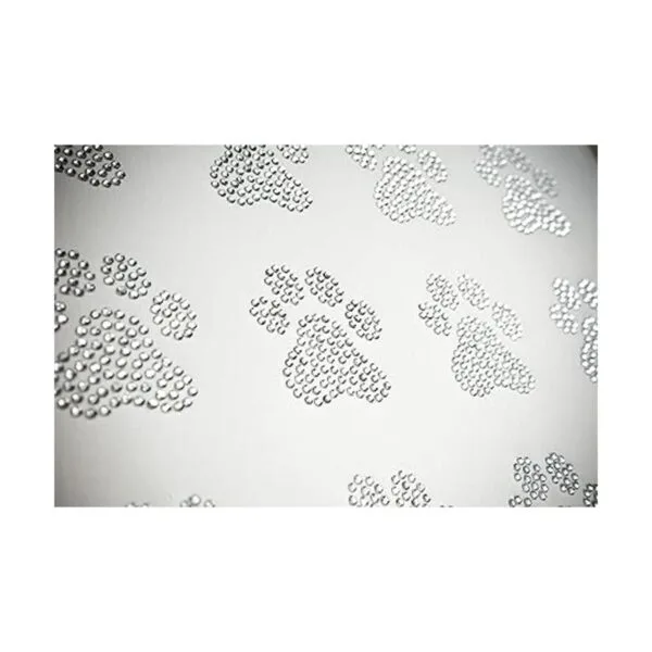 Conjunto de 8 Paws Clear Rhinestone Hierro Sobre Paws de