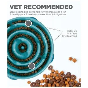Outward Hound Fun Feeder Slo Bowl Cuenco para perro de_4