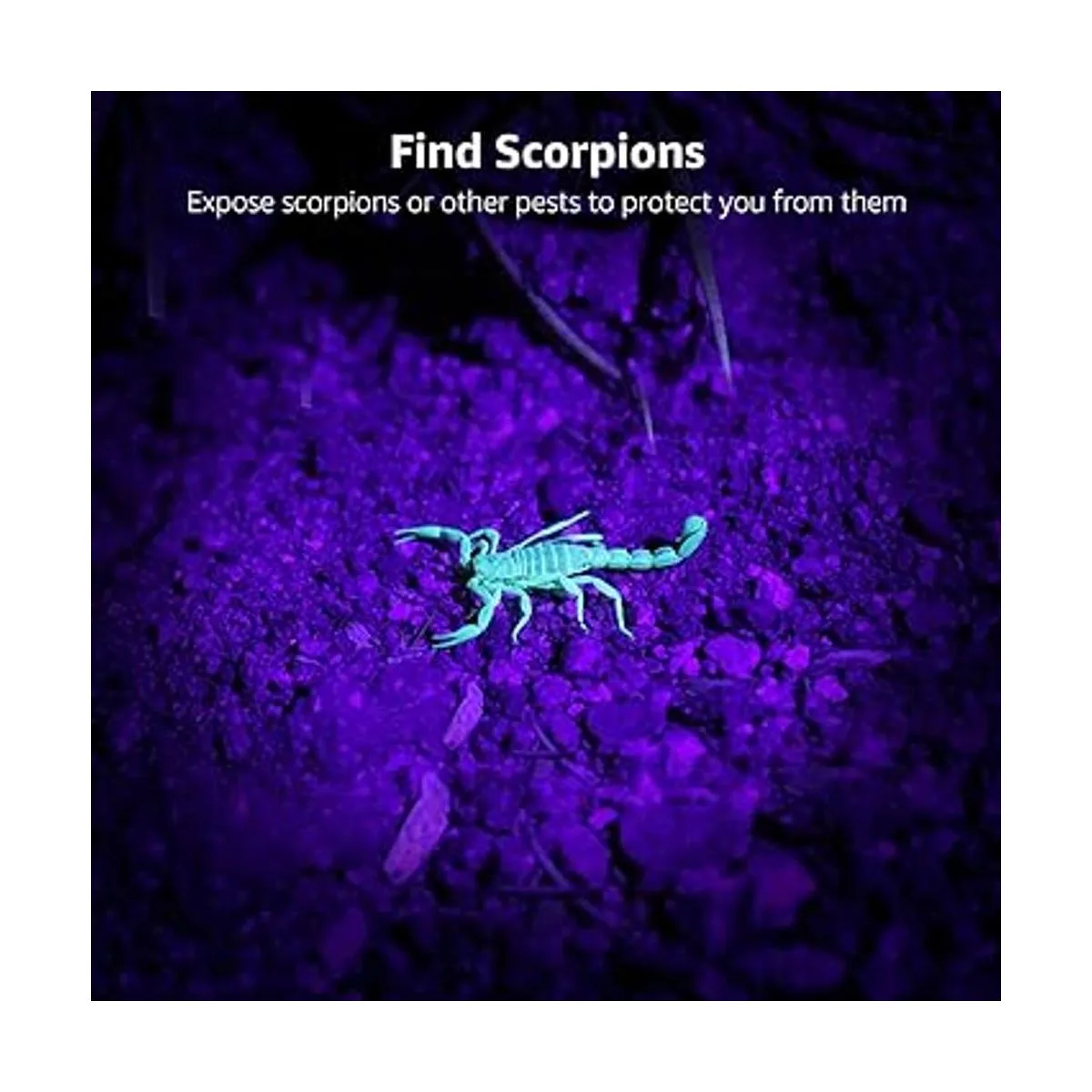 Linterna de luz negra LE_3