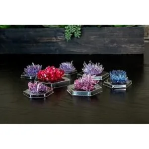 Experimento de cultivo de cristal de 4M_2