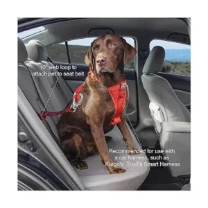 Kurgo Dog seat Belt Pet Safety Tether with Carabiner_3