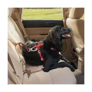 Kurgo Dog seat Belt Pet Safety Tether with Carabiner_5