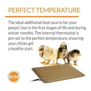 KH Pet Products ThermoPeep tapete térmico no aplica