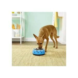 Dogit Cuenco de comida y agua para perros plato para_2