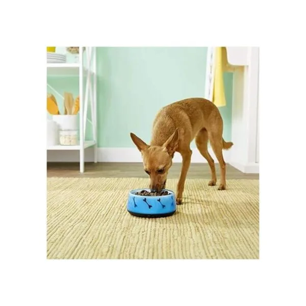 Dogit Cuenco de comida y agua para perros plato para_2